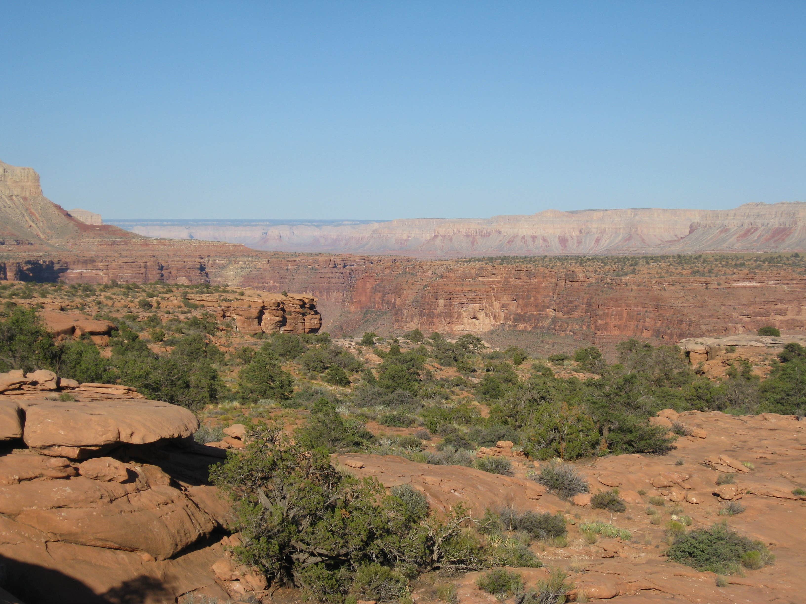 Camper-submitted photo at Tuweep Campground — Grand Canyon National Park near Supai, AZ
