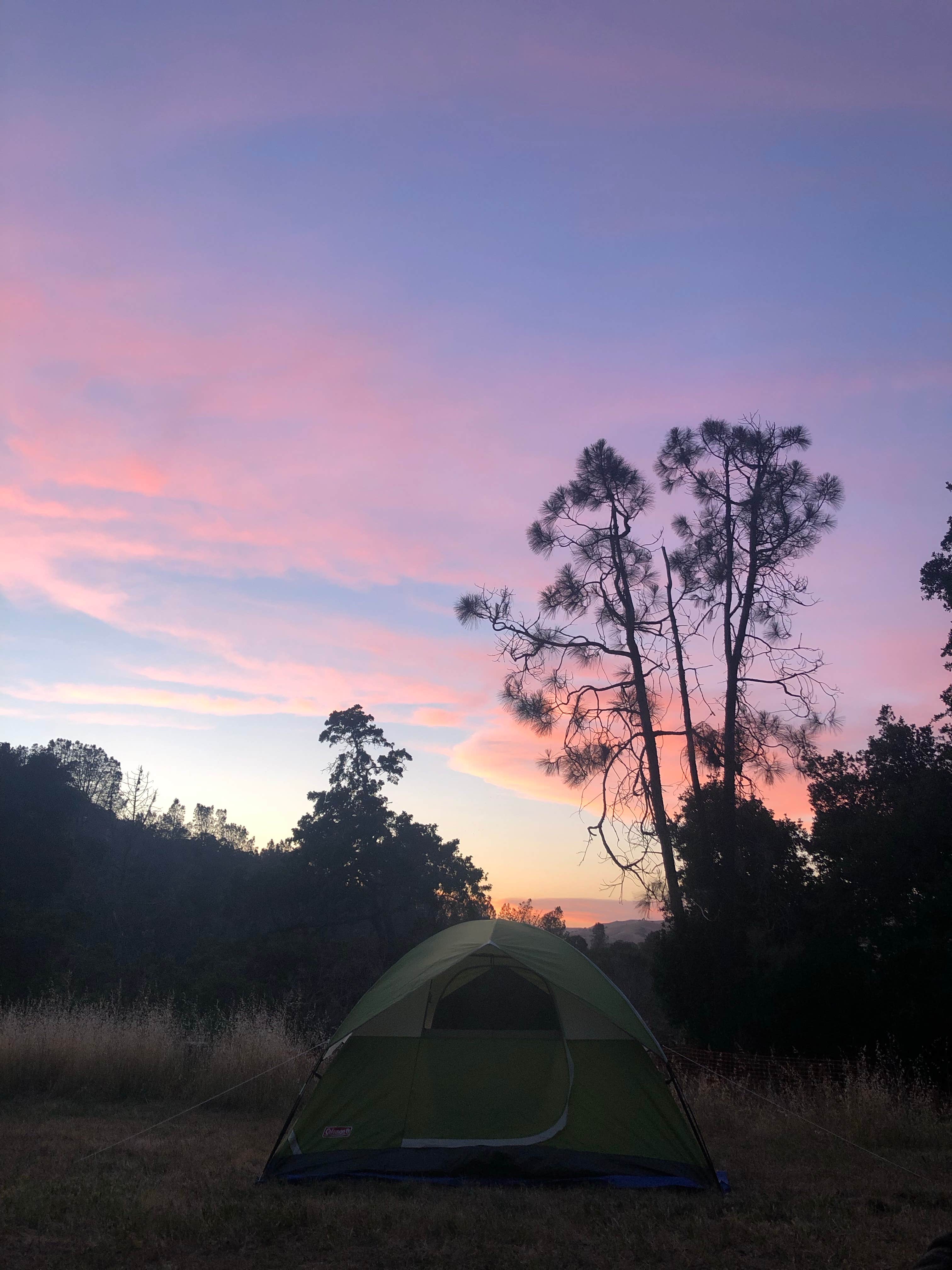Colleen S.'s photo at Del Valle Campground — East Bay Regional Park District near Livermore, CA