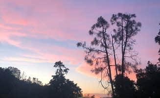 Colleen S.'s photo at Del Valle Campground — East Bay Regional Park District near Patterson, CA