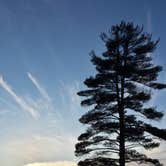 Review photo of Moffitt Beach Campground by Maribeth W., August 31, 2016