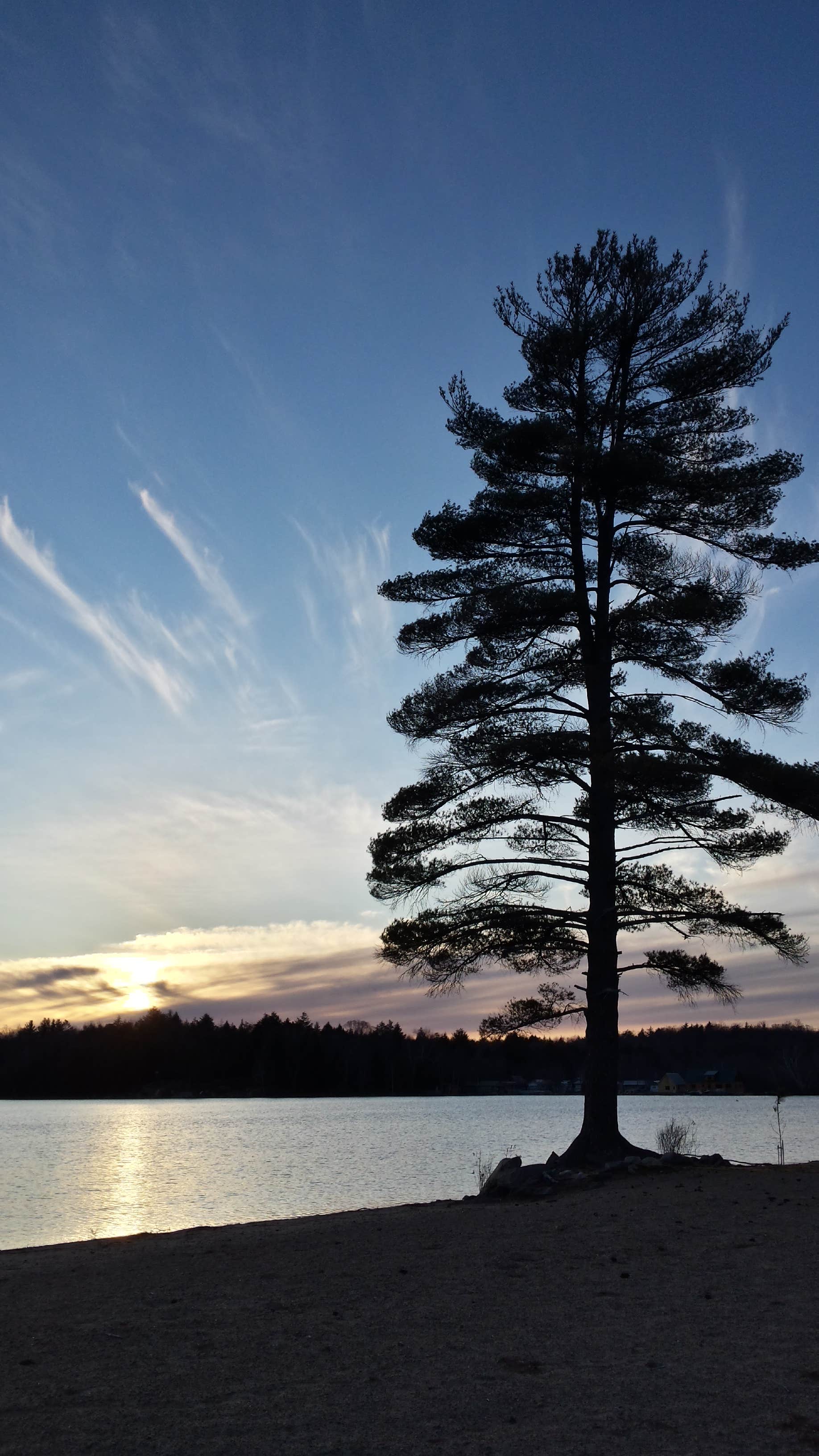 Camper submitted image from Moffitt Beach Campground - 2