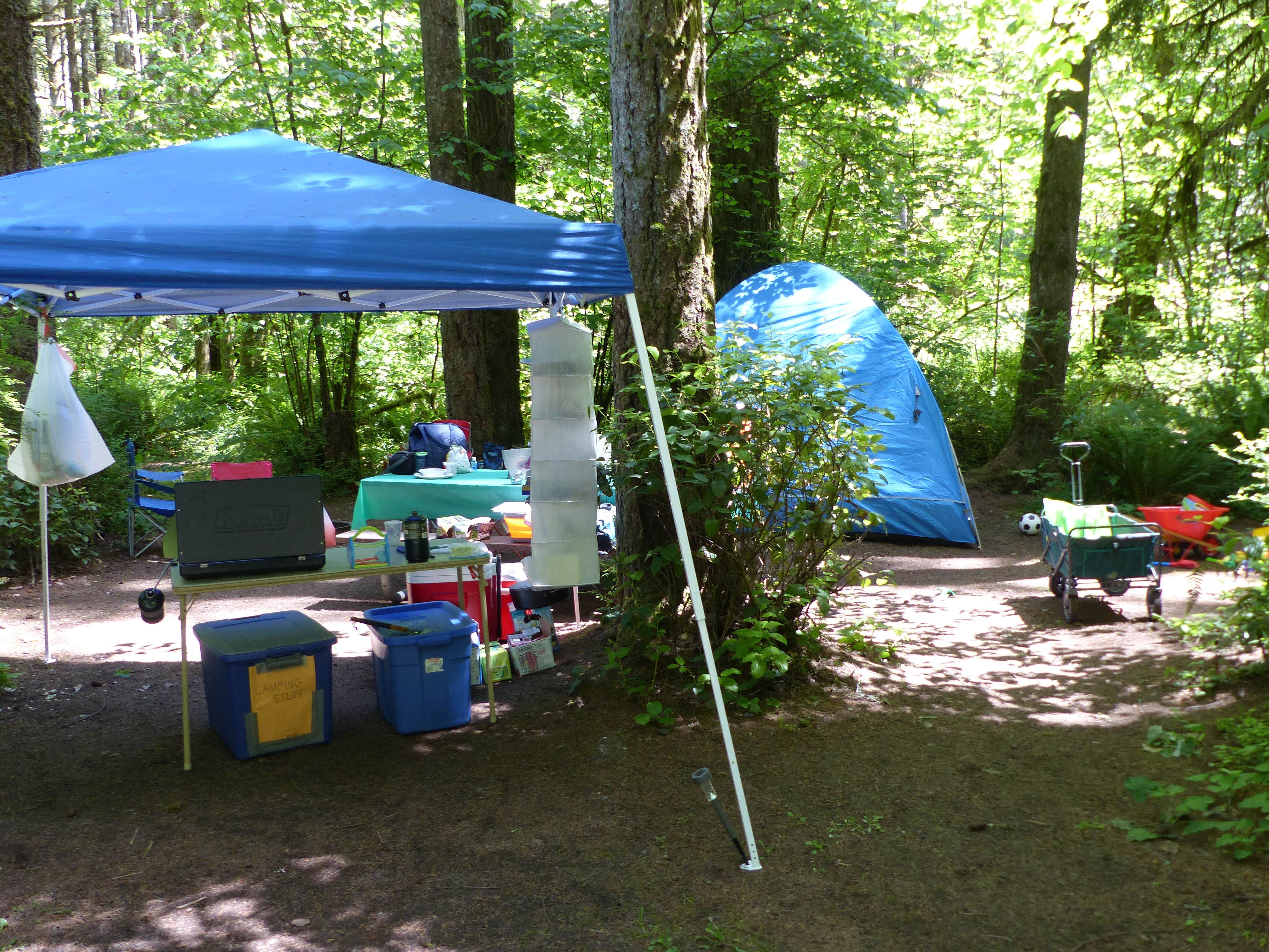 Carlyn N.'s photo at Seaquest State Park Campground near Toledo, WA