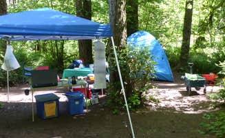 Carlyn N.'s photo at Seaquest State Park Campground near Silverlake, WA