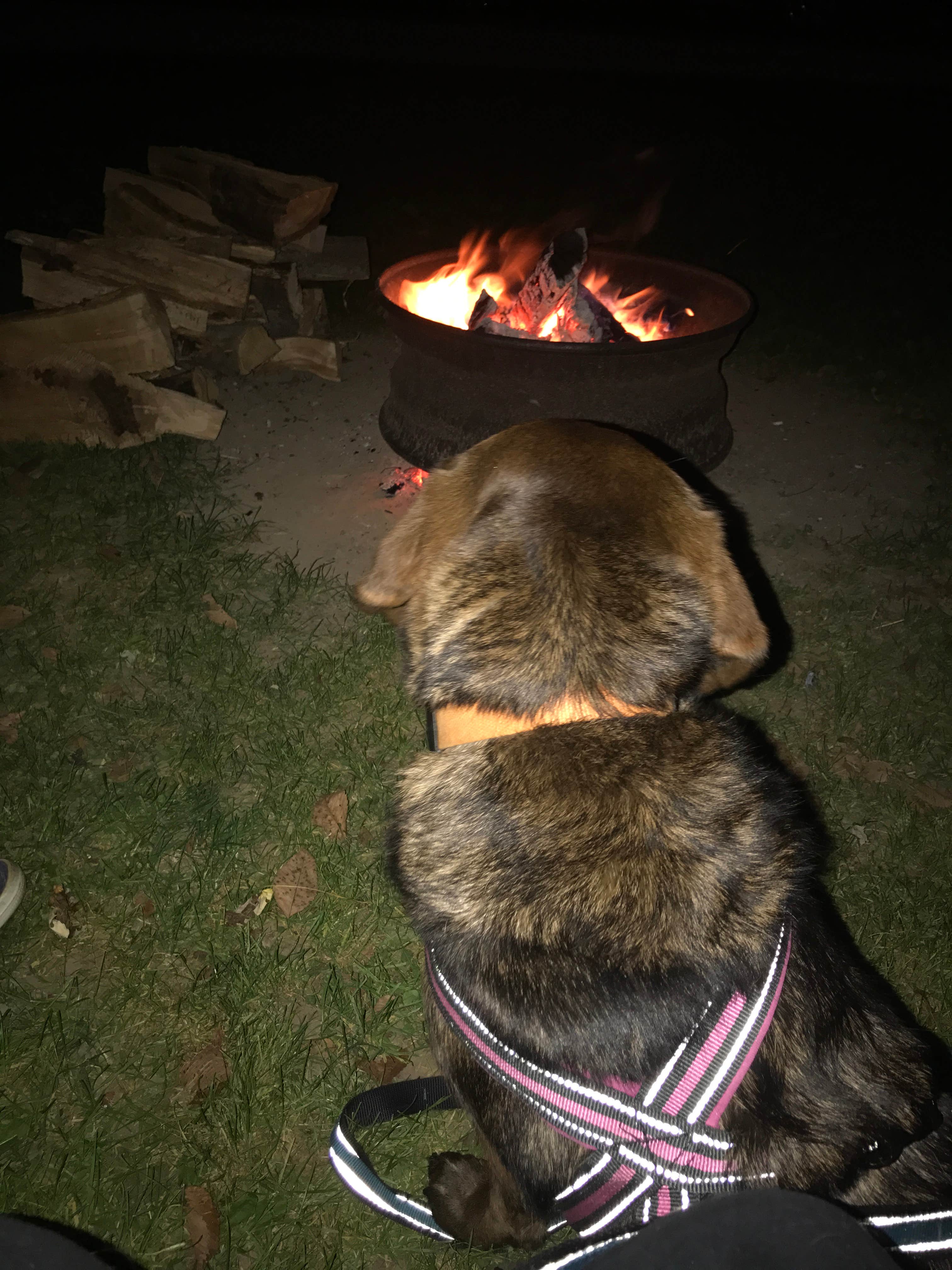 Campsites