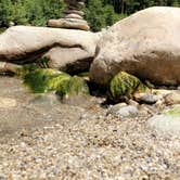 Review photo of Nason Creek Campground by Garrett T., June 5, 2019