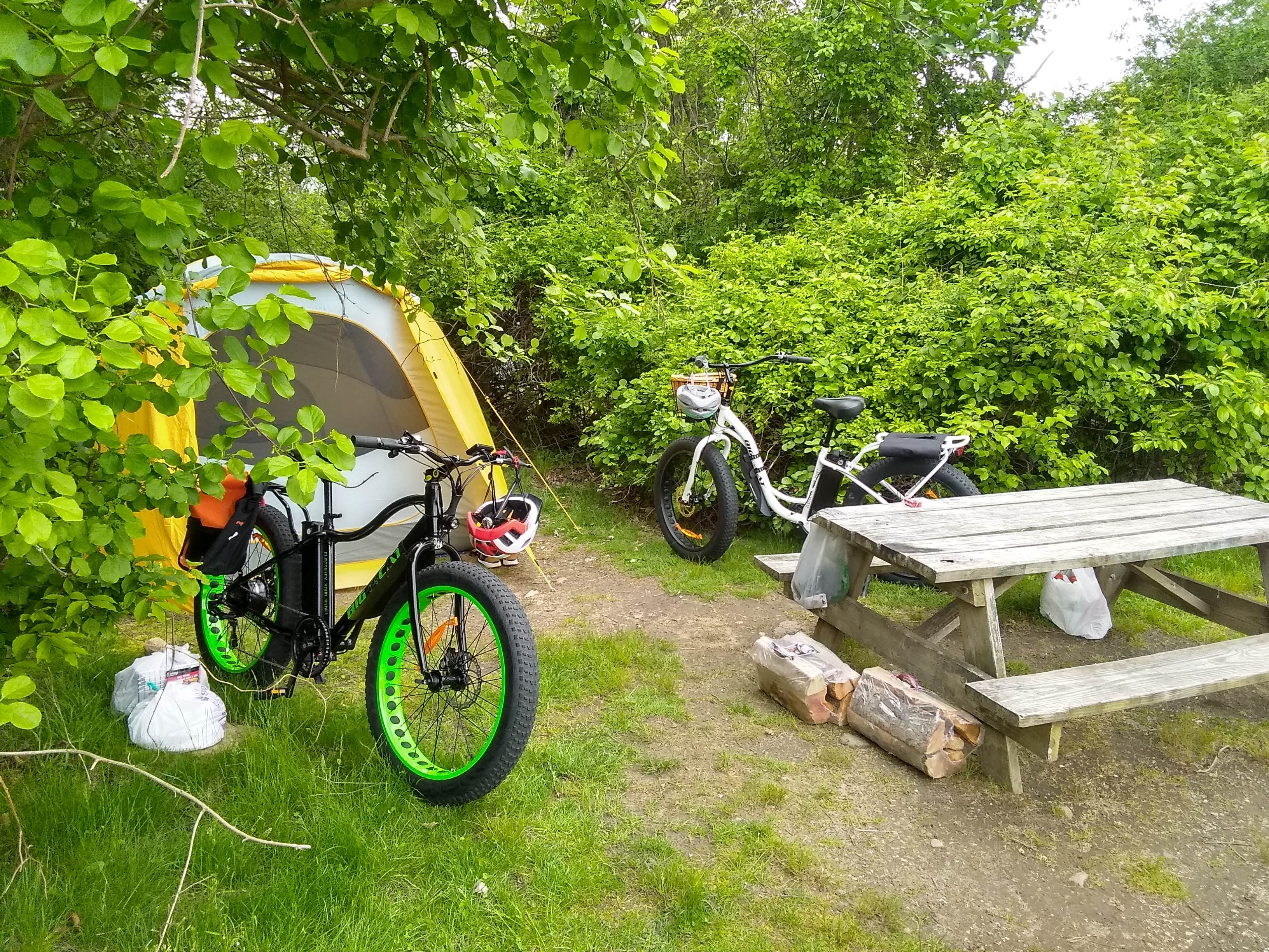 Richard M.'s photo at Fishermens Memorial State Park Campground near North Kingstown, RI