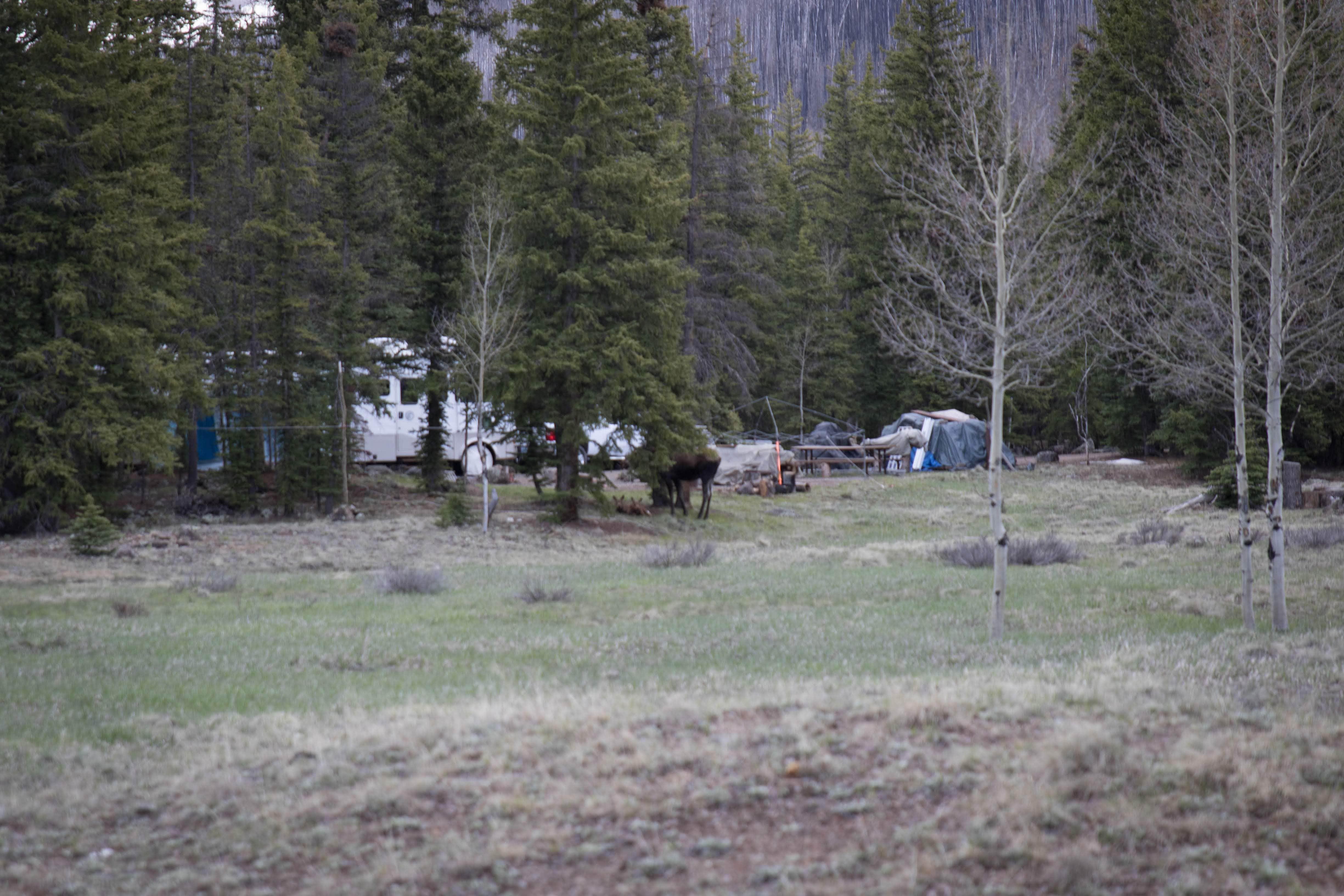 Adam P.'s photo at Thirty Mile near City of Creede, CO