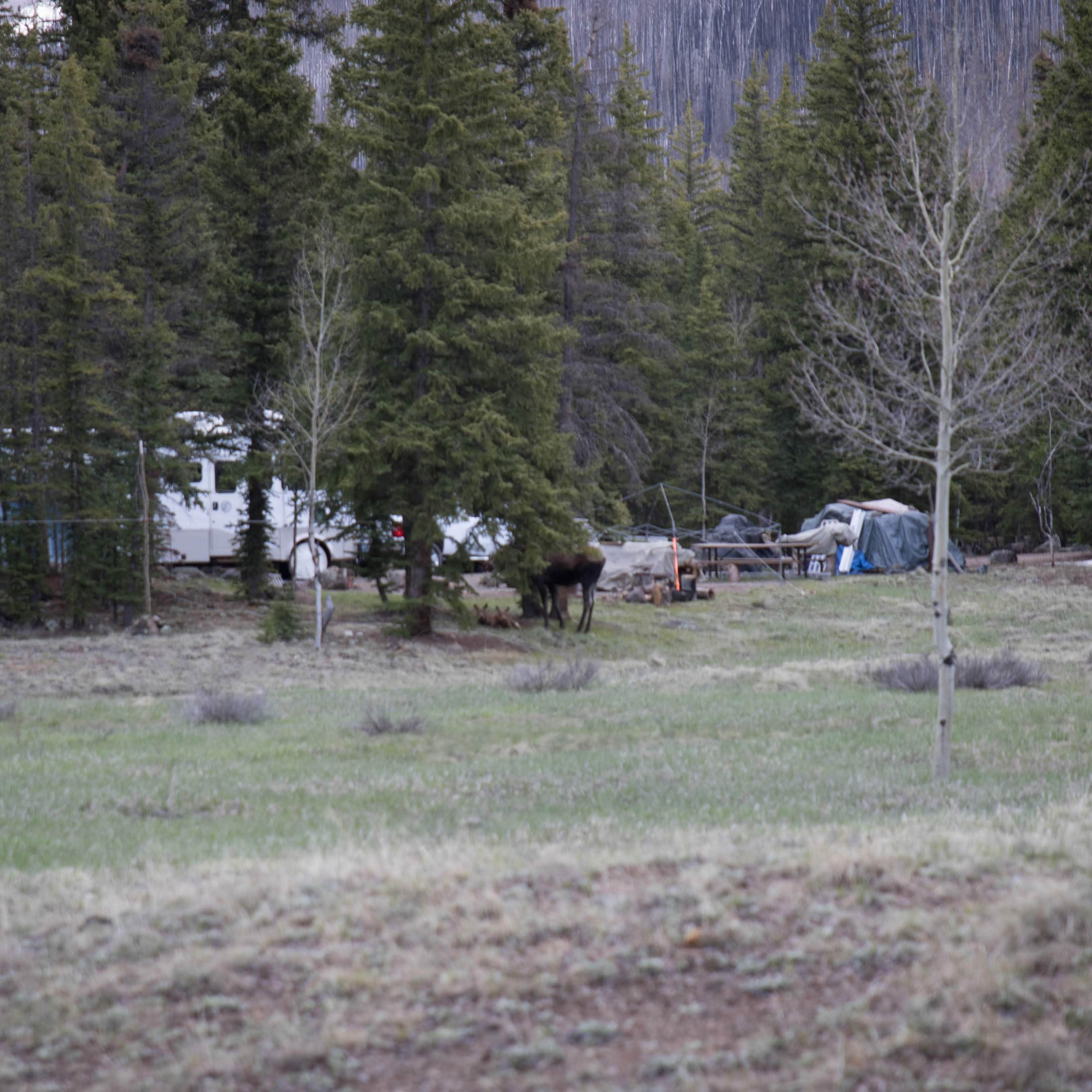 Escape To Serenity: Your Guide To Colorado’s Thirty Mile Campground