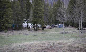 Adam P.'s photo at Thirty Mile near City of Creede, CO