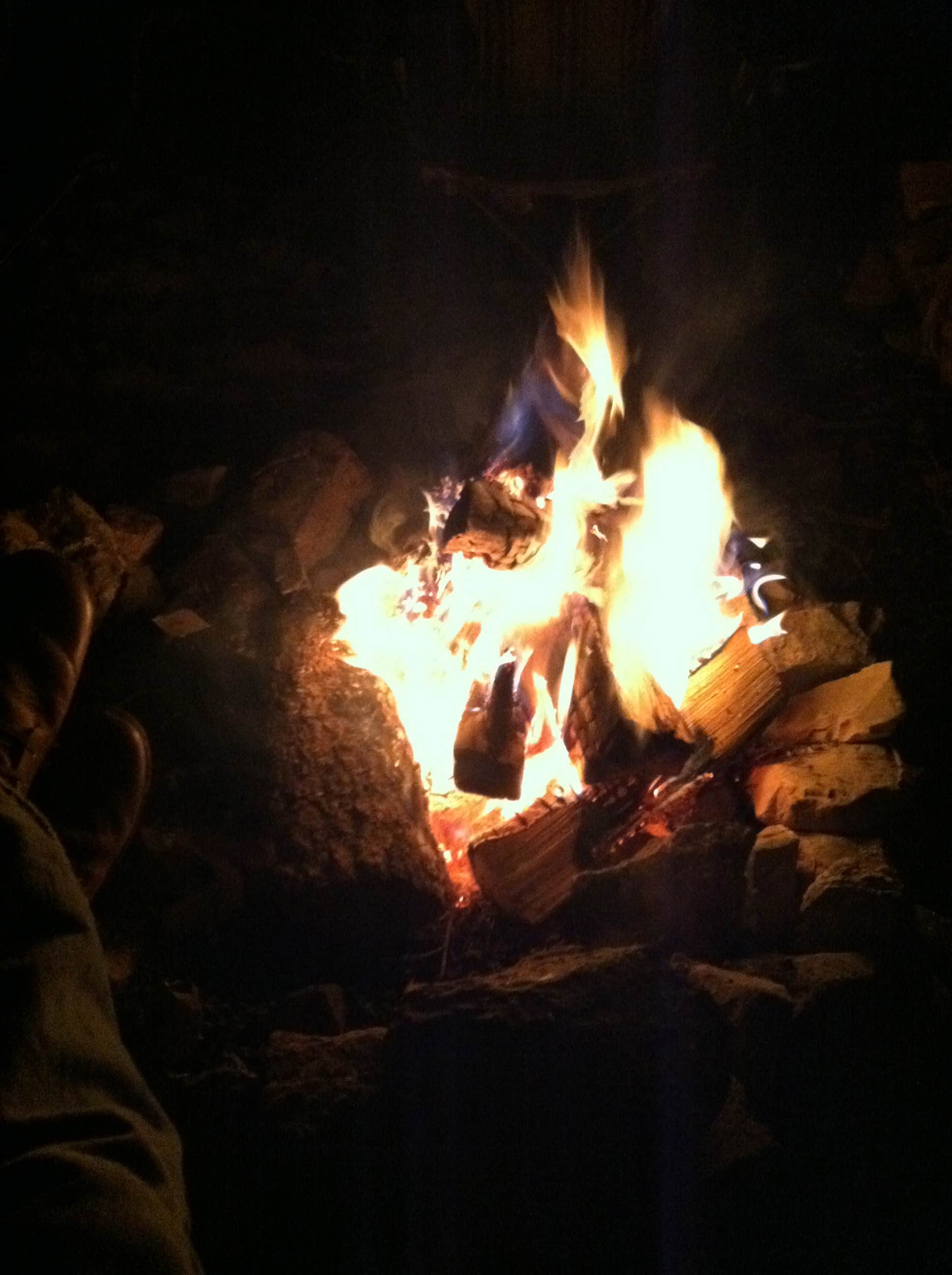 Camper submitted image from Mahogany Grove - 5