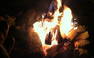 Savannah C.'s photo at Mahogany Grove near Mount Charleston, NV