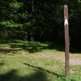 Review photo of Quartzite Campground — Devils Lake State Park by Jimmy P., August 26, 2015