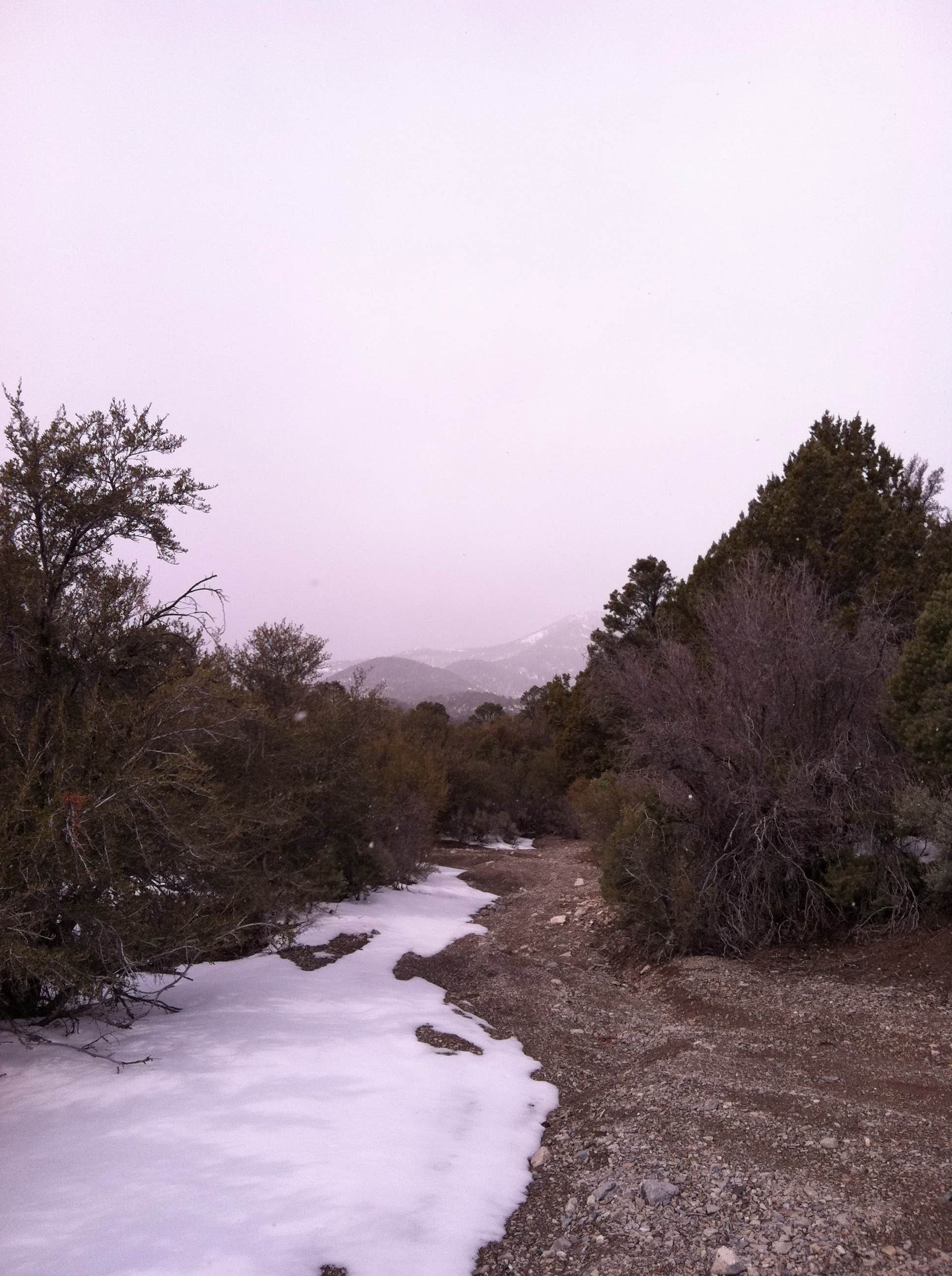 Nature