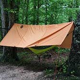 Review photo of Elkmont Campground — Great Smoky Mountains National Park by Leah P., August 31, 2016