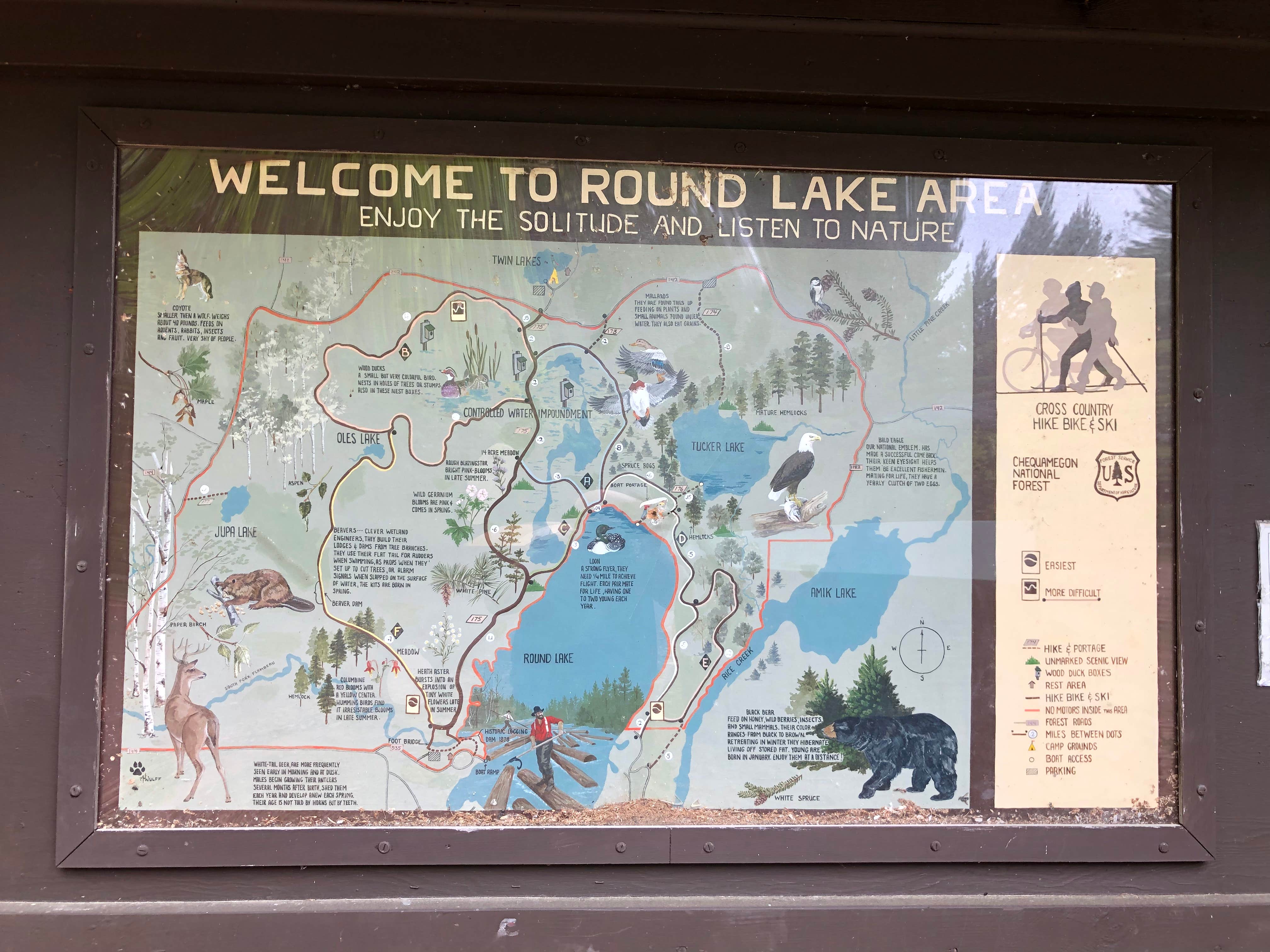 Camper-submitted photo at Twin Lakes NF Campground near Minocqua, WI