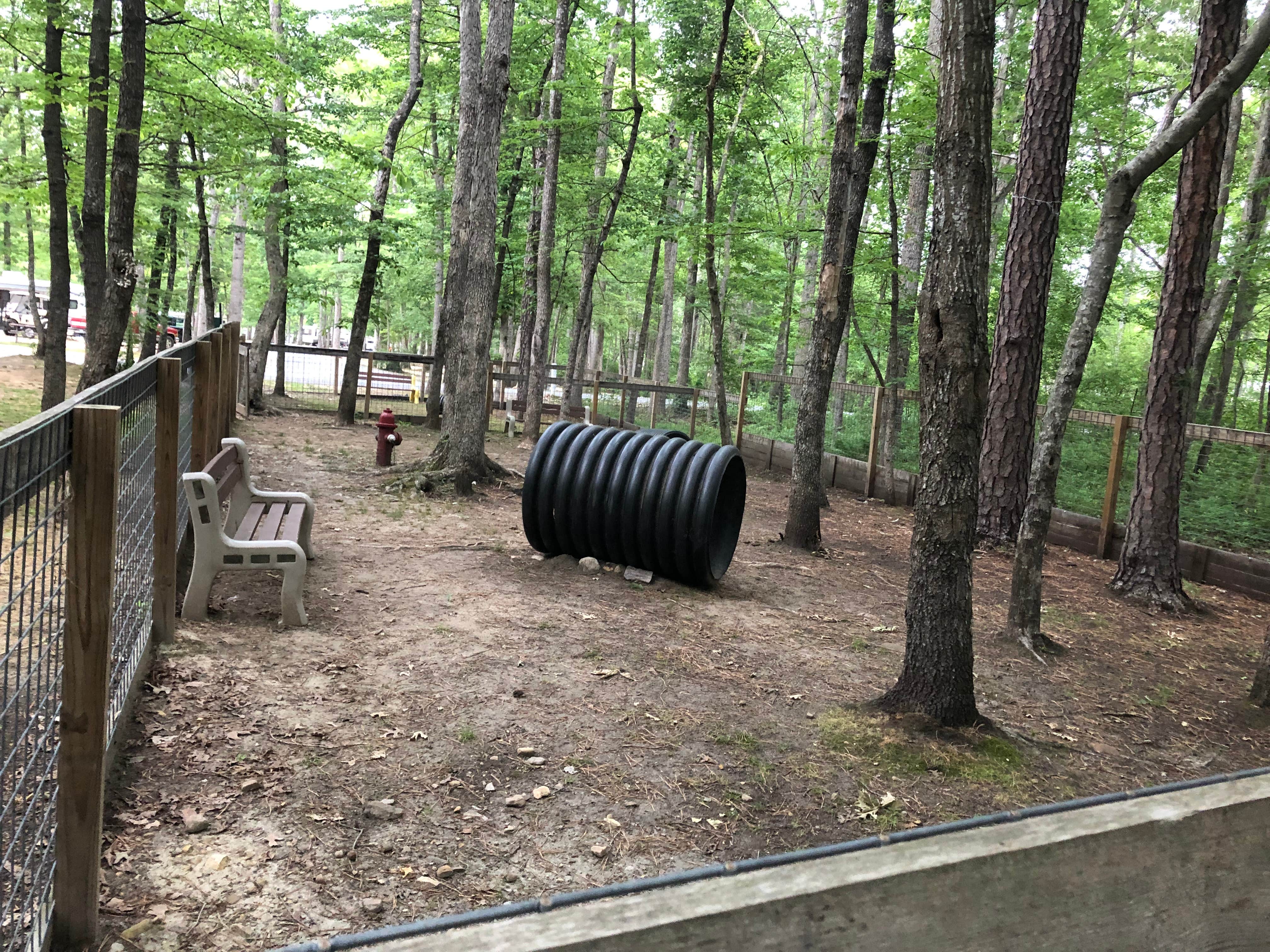 Camper-submitted photo at Sun Retreats Shenandoah Valley near George Washington & Jefferson National Forests