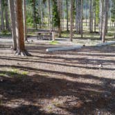 Review photo of Lowland Campground by Dexter I., June 5, 2019