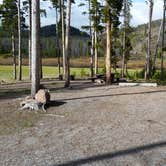 Review photo of Lowland Campground by Dexter I., June 5, 2019