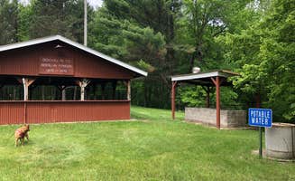 Art S.'s photo of camping with pets at Gile Memorial Village near Galesville, WI