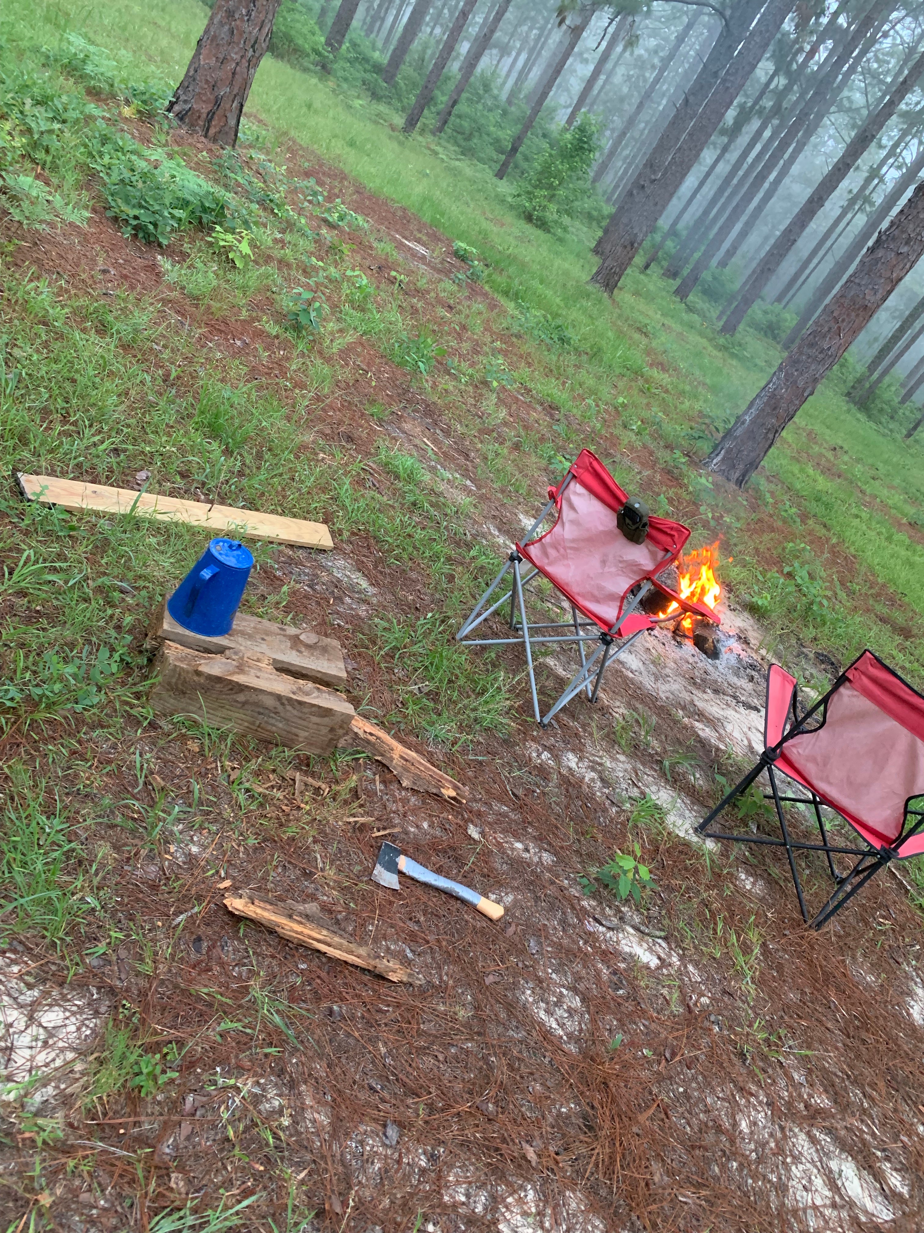 Camper submitted image from Hunters Camp - Calcasieu Ranger District - 5