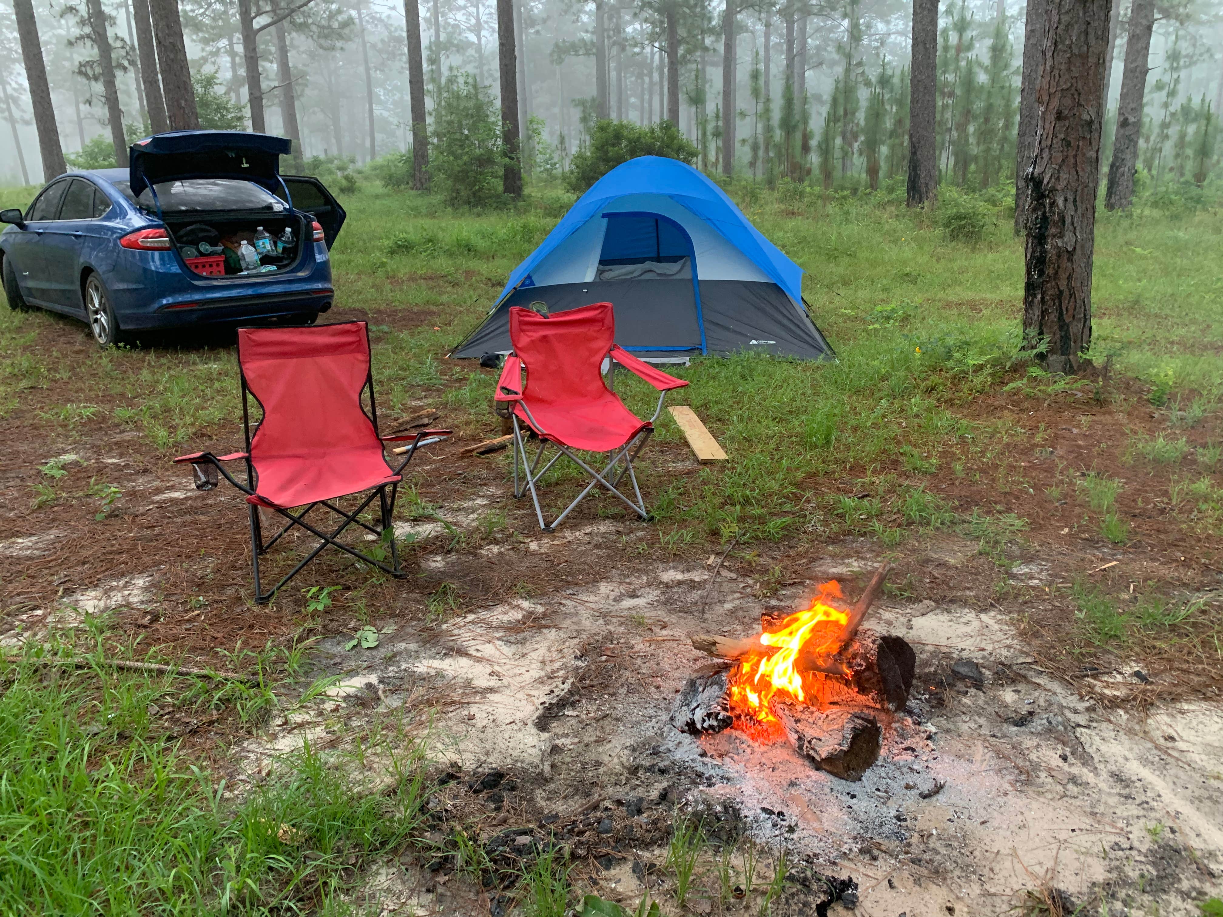 Danny H.'s photo of tent camping at Hunters Camp - Calcasieu Ranger District near Lecompte, LA