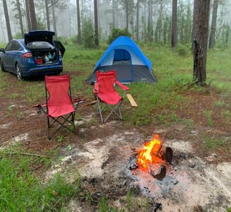 Camper-submitted photo from Hunters Camp - Calcasieu Ranger District