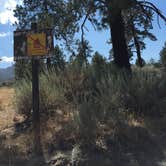Review photo of Thomas Hunting Grounds Yellow Post Campites by Mark C., August 31, 2016