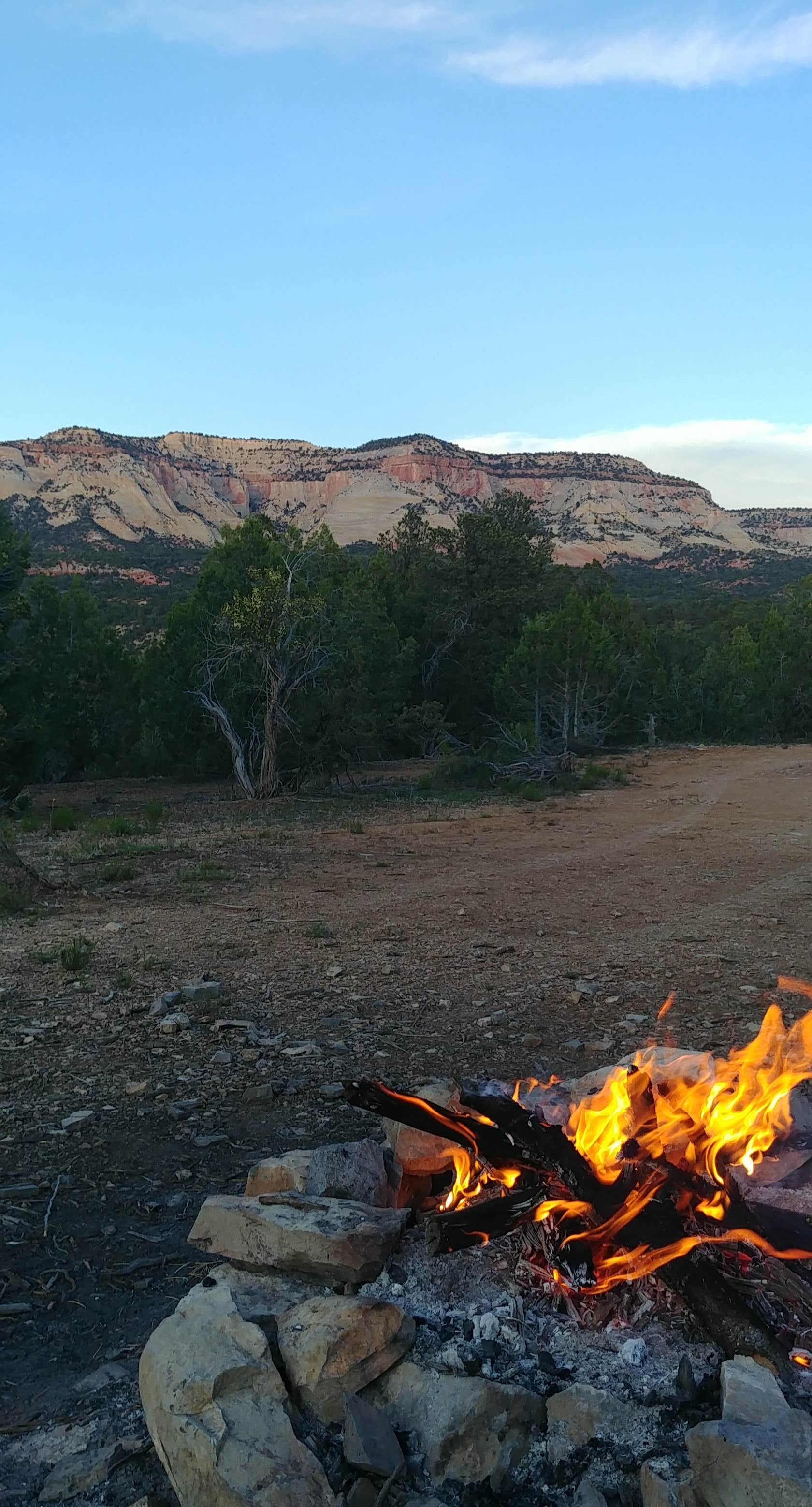 Camper submitted image from Twin Hollows Canyon - 5