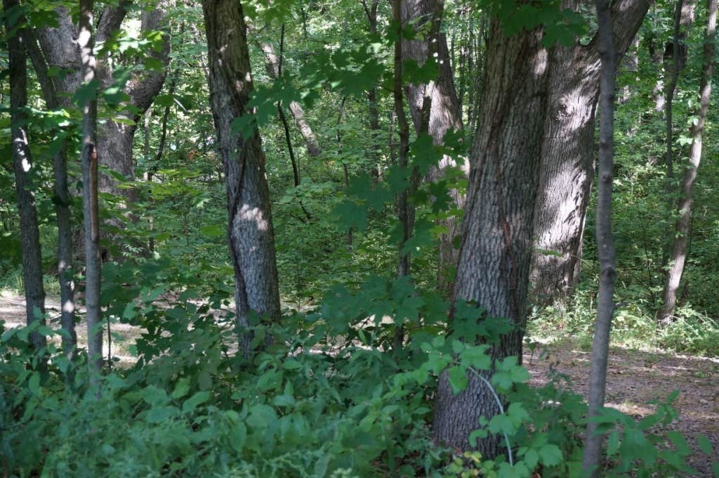 Quartzite Campground — Devils Lake State Park Baraboo, WI