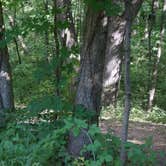 Review photo of Quartzite Campground — Devils Lake State Park by Jimmy P., August 26, 2015