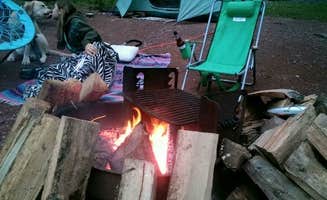 Madelyn D.'s photo at Susquehannock near Orbisonia, PA