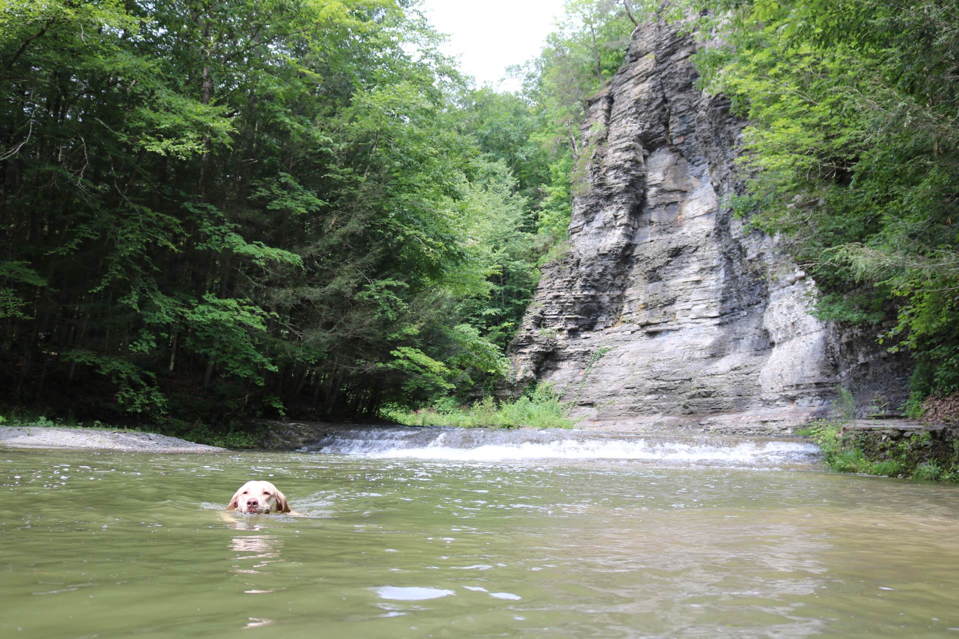 Madelyn D.'s photo of camping with pets at Robert H. Treman State Park Campground near Candor, NY