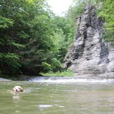 Review photo of Robert H. Treman State Park Campground by Madelyn D., June 6, 2019