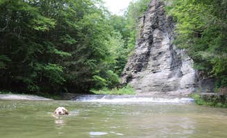 Madelyn D.'s photo of camping with pets at Robert H. Treman State Park Campground near Cortland, NY