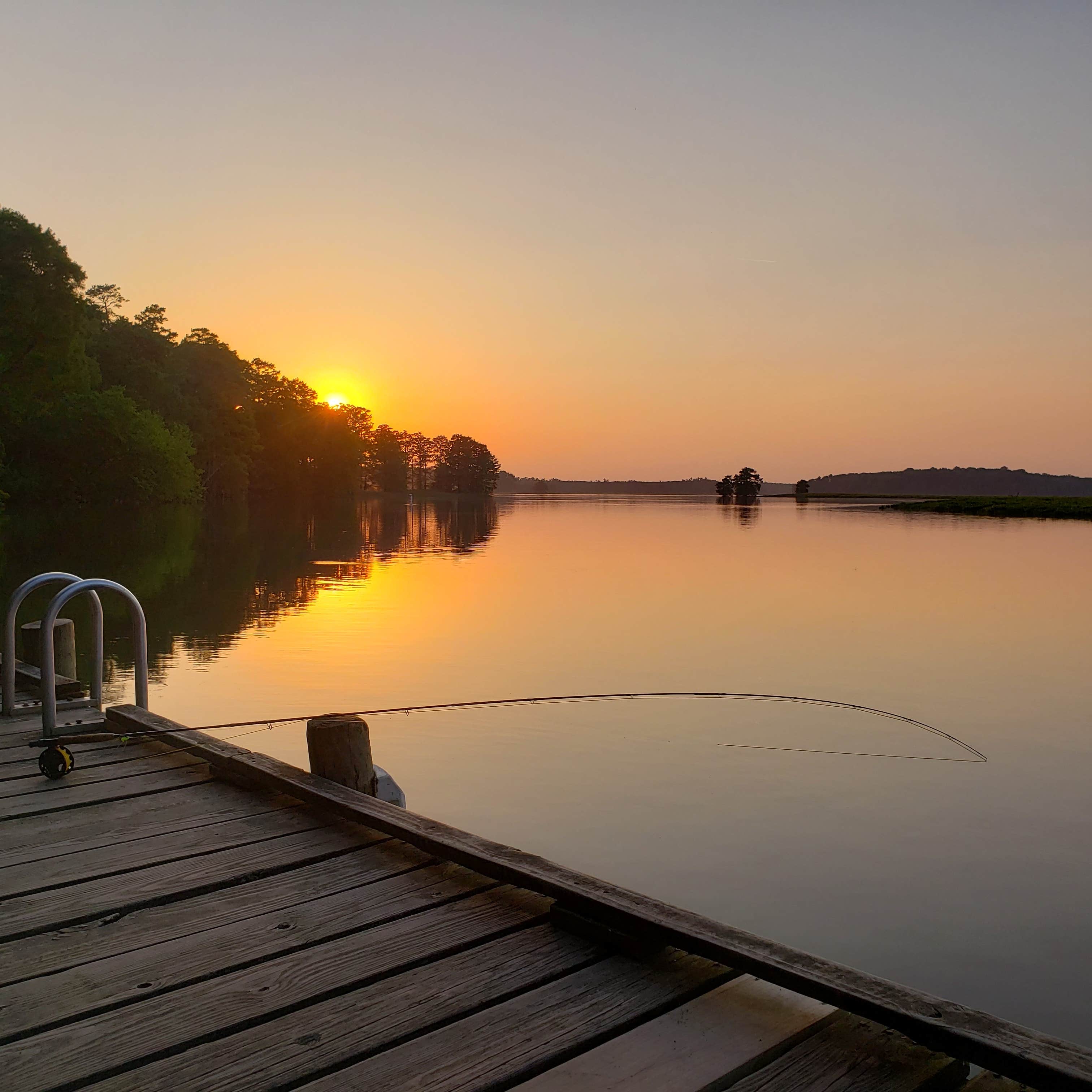 Camper submitted image from Chickahominy Riverfront Park - 5