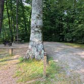 Review photo of Black Mountain Campground - CLOSED INDEFINITELY by Erin S., June 6, 2019