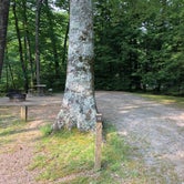 Review photo of Black Mountain Campground by Erin S., June 6, 2019