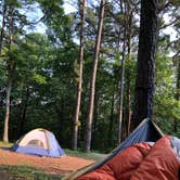 Review photo of Pharoah - Garden of the Gods Rec Area Campground by Lane M., June 6, 2019