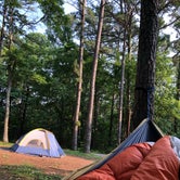 Review photo of Pharoah - Garden of the Gods Rec Area Campground by Lane M., June 6, 2019