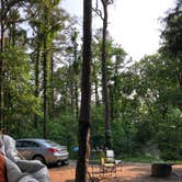 Review photo of Pharoah - Garden of the Gods Rec Area Campground by Lane M., June 6, 2019