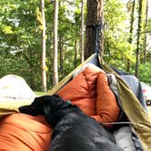 Review photo of Pharoah - Garden of the Gods Rec Area Campground by Lane M., June 6, 2019