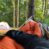 Review photo of Pharoah - Garden of the Gods Rec Area Campground by Lane M., June 6, 2019