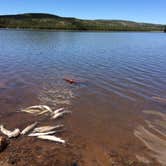 Review photo of East Park Campground - Ashley National Forest by Cortney M., August 31, 2016