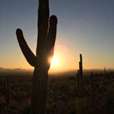 Review photo of McDowell Mountain Regional Park by Ethan K., August 31, 2016