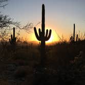 Review photo of McDowell Mountain Regional Park by Ethan K., August 31, 2016