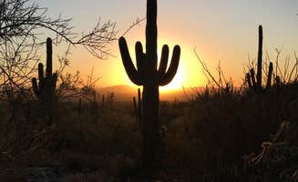 Ethan K.'s photo of a dispersed camping area at McDowell Mountain Regional Park near Phoenix, AZ