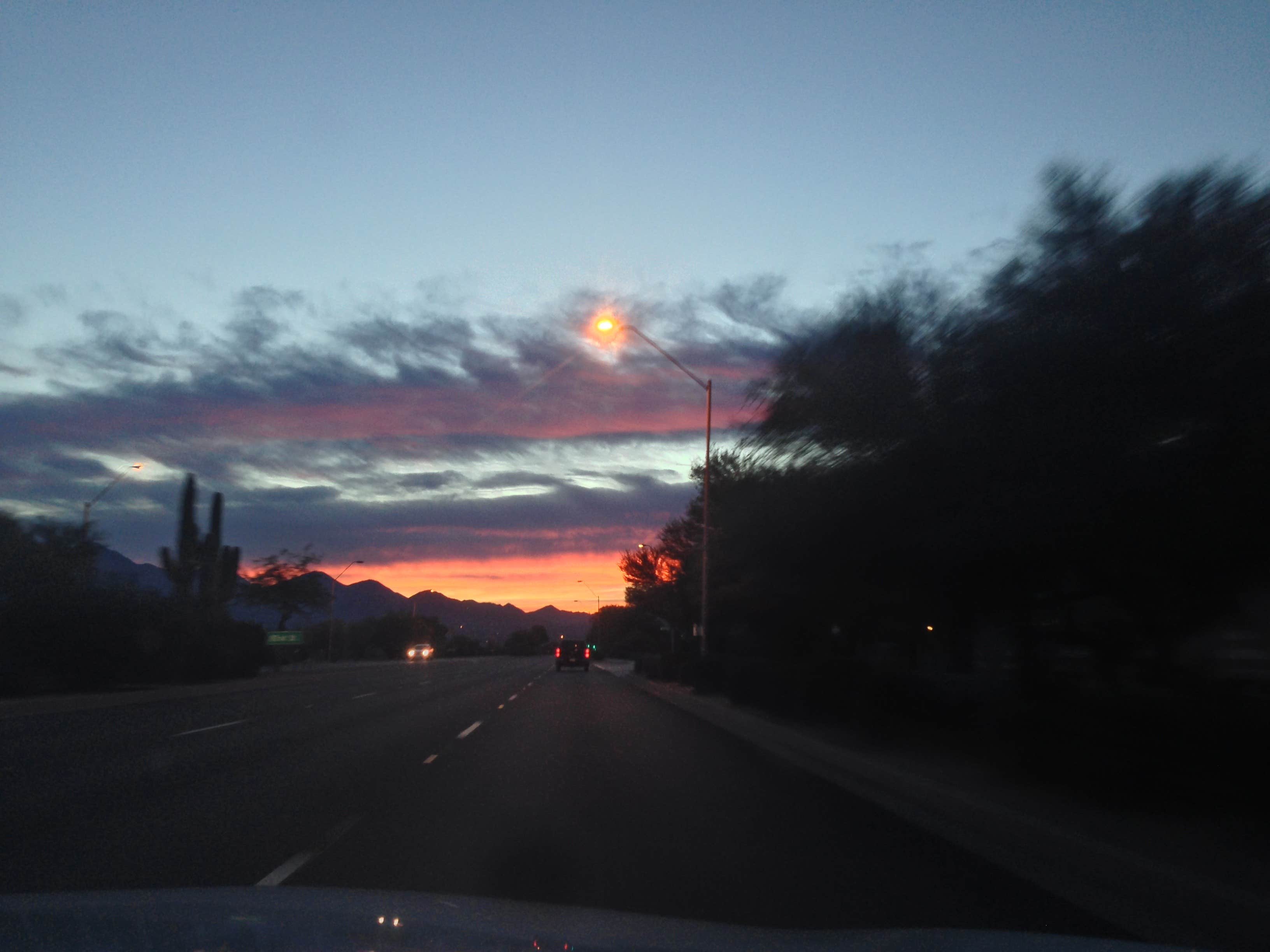 Camper submitted image from McDowell Mountain Regional Park - 3