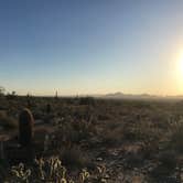 Review photo of McDowell Mountain Regional Park by Ethan K., August 31, 2016