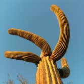 Review photo of McDowell Mountain Regional Park by Ethan K., August 31, 2016