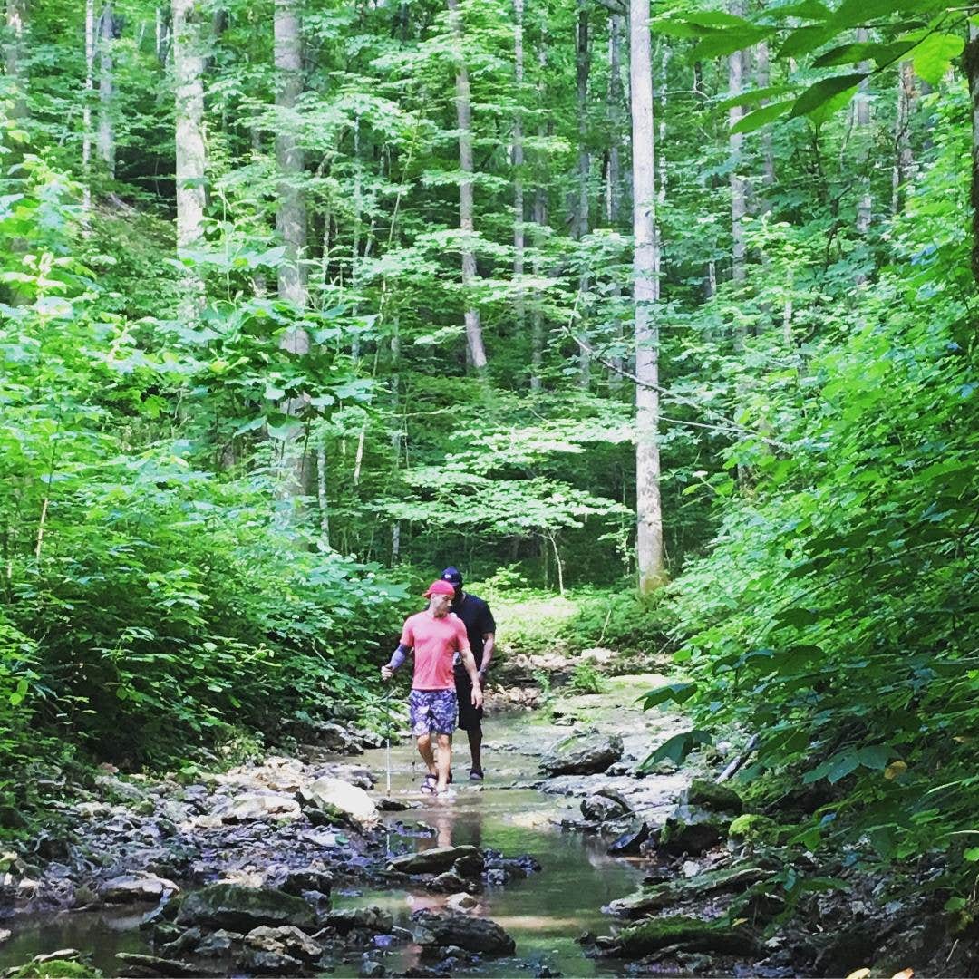 Camper submitted image from Belle & Beau Acres - 2